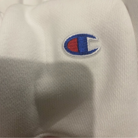 Champion X Susan Alexandra Reverse Weave Strawberry Watermelon Hoodie - Small - Picture 12 of 14